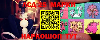 гидропоника Балахна