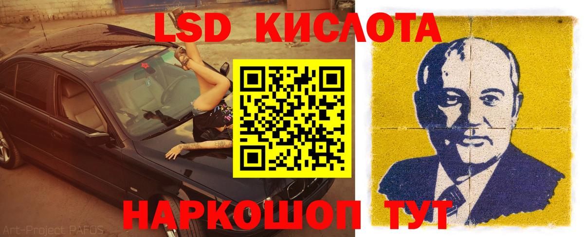 Бошки Шишки Кулебаки