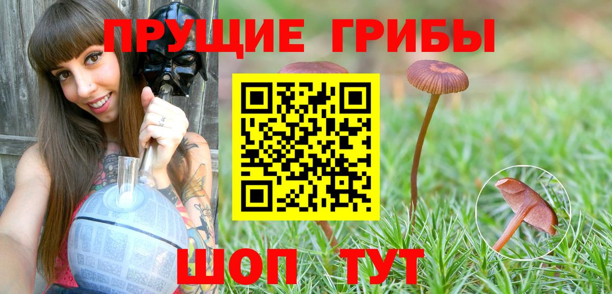 Псилоцибиновые грибы мухоморы  Псилоцибиновые грибы MAGIC MUSHROOMS  Кулебаки  Вход с VPN 