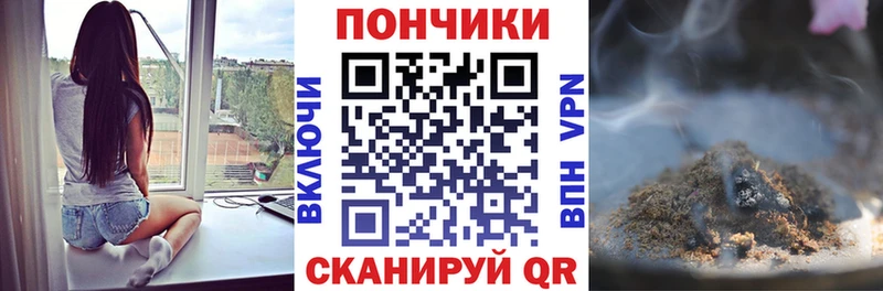 дарнет шоп  Кулебаки  Бошки марихуана сатива 
